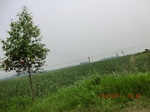 33015CIMG2175.JPG