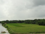 24525DSC00444.JPG