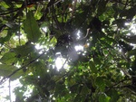 46800DSC02138.JPG