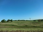 29078CIMG0560.JPG