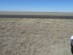 29224HOOK20110406W.JPG