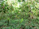 46545CIMG0834.JPG