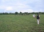 1174019-lakebed-grasses-herbs-iucna.jpg