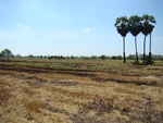 9177DSC01880.JPG