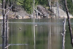 383IMG_3492.JPG