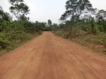 47372CIMG3709.JPG