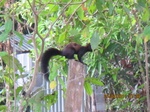 30033IMG_5355.JPG