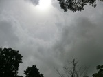 45496CIMG2581.JPG