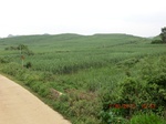 34758CIMG2589.JPG