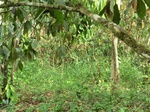 51035CIMG4398.JPG