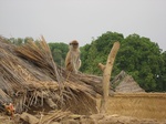 26784Vounaloum Cameroon 019.jpg