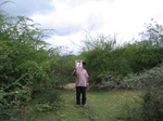 1169607-shrubland-degaradedb.gif