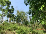 53301CIMG6572.JPG