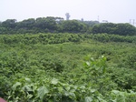 988R0015332.jpg