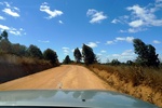 28414P1010425-1.JPG