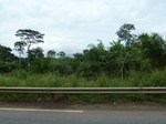 20264P1020119.JPG