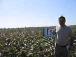 7997015-irrri-cotton-sw-1b.jpg
