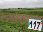 124370117c-rainfed-agriculture-maize-dominant-vegetables-castrol.gif