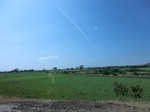 56313CIMG7060.JPG