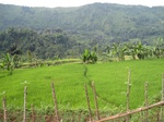 13732IMG_3993.JPG