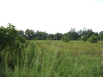 14402IMG_4746.JPG