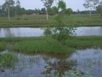 34586RIMG0052.JPG