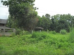 33517IMG_5765.JPG