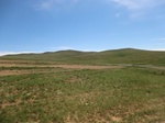 37925CIMG1732.JPG