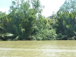 54652Bulungan (164).JPG