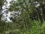 49536CIMG5873.JPG