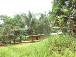 47952CIMG4289.JPG