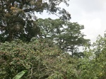 49248CIMG5585.JPG