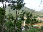 53525CIMG6870.JPG