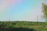 2024-08-05_14-21-47_35369BDB-4312-4EC8-8E92-54DEB9F3A16B.jpeg