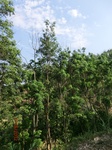 53767CIMG7167.JPG