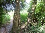 19802P1010651.JPG