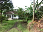 31027CIMG0889.JPG