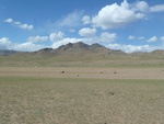 22411P1010546.JPG