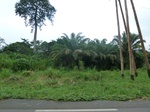 25900P1020319.JPG