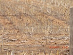 29822CIMG1234.JPG