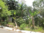 29581IMG_5142.JPG