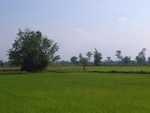 28082RIMG0137.JPG