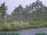 1306R0015102_tag.jpg