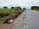 11939_Firewood_GT123.jpg