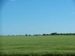 29063CIMG0762.JPG