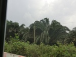 49878CIMG6215.JPG