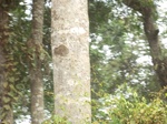 48226CIMG4563.JPG