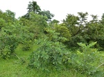 18606P1000443.JPG