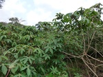 46510CIMG0799.JPG