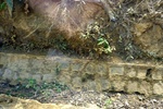 28680P1010697-1.JPG